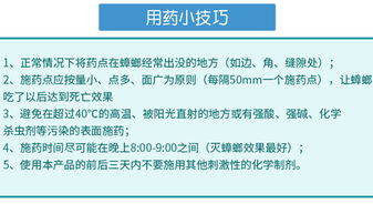 食品工廠如何徹底消滅蟑螂？專家分享實用方法與運營策略